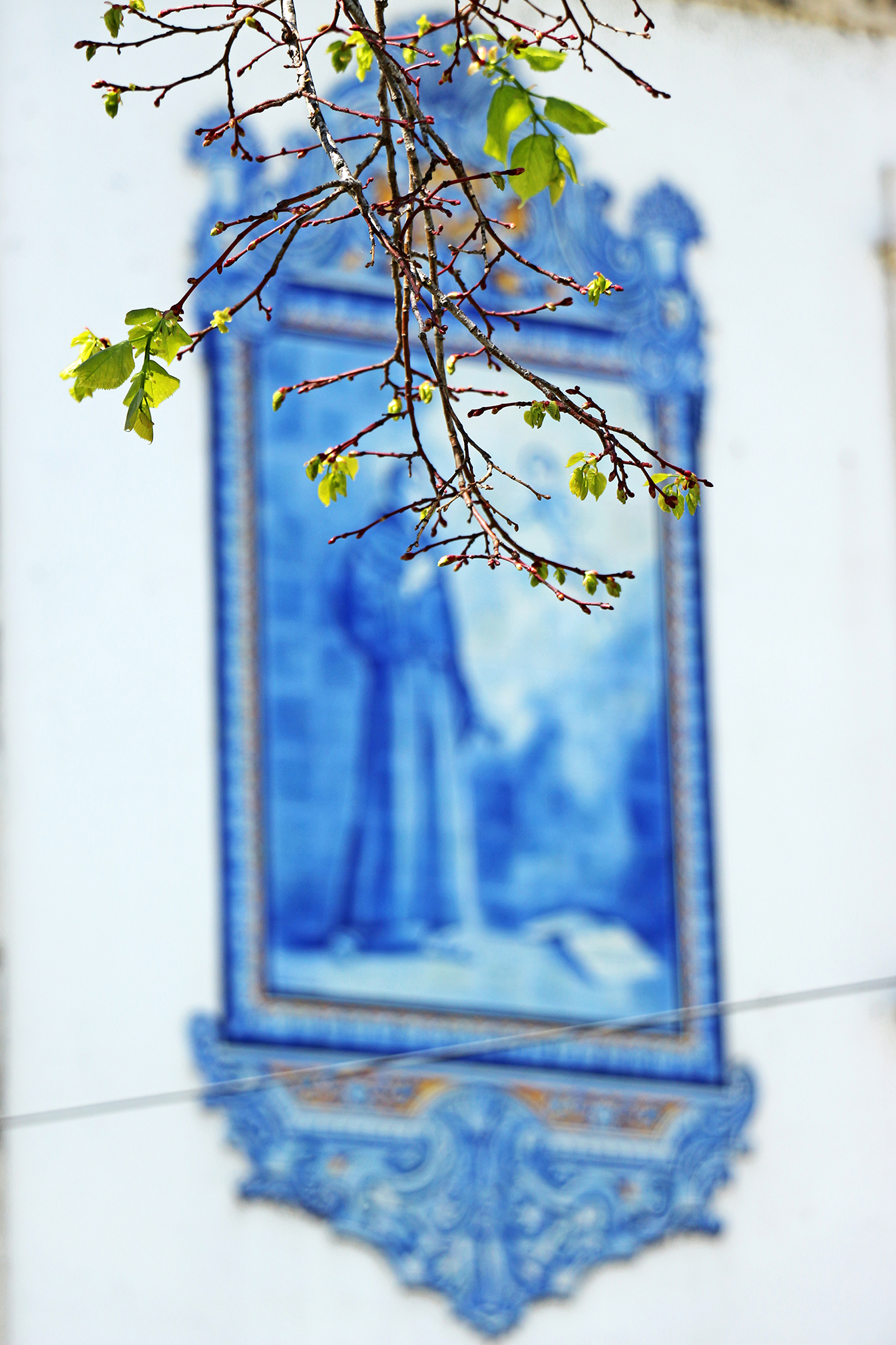 ::: happy hour de fotografia :::